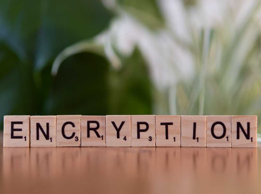 quantum encryption future